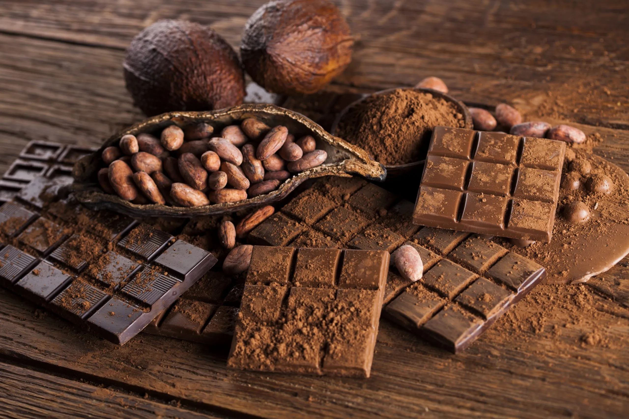 chocolate e cacau.
