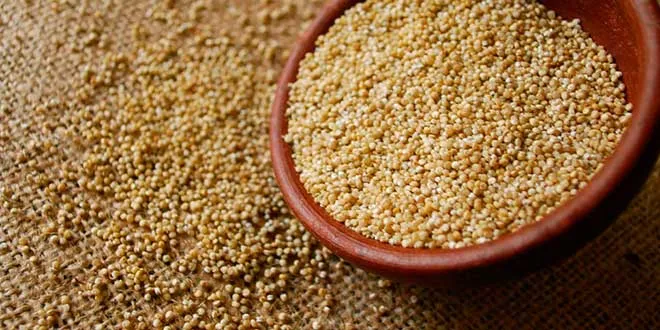 Quais os benefícios da quinoa?