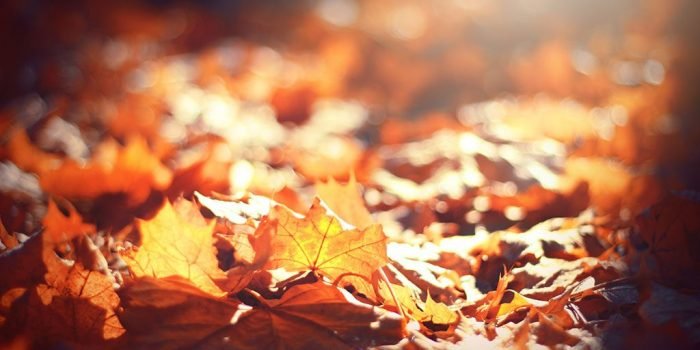 Saiba como previnir das doenças típicas desta estação